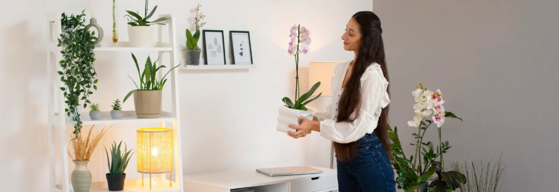 The Shift from Decorative Products to "Functional Décor"