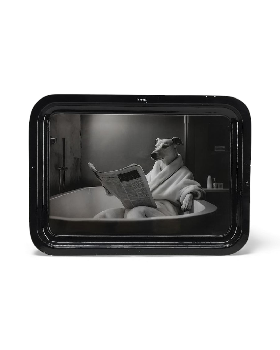 Monochromatic Dog Bathrobe Rectangular Wall tray