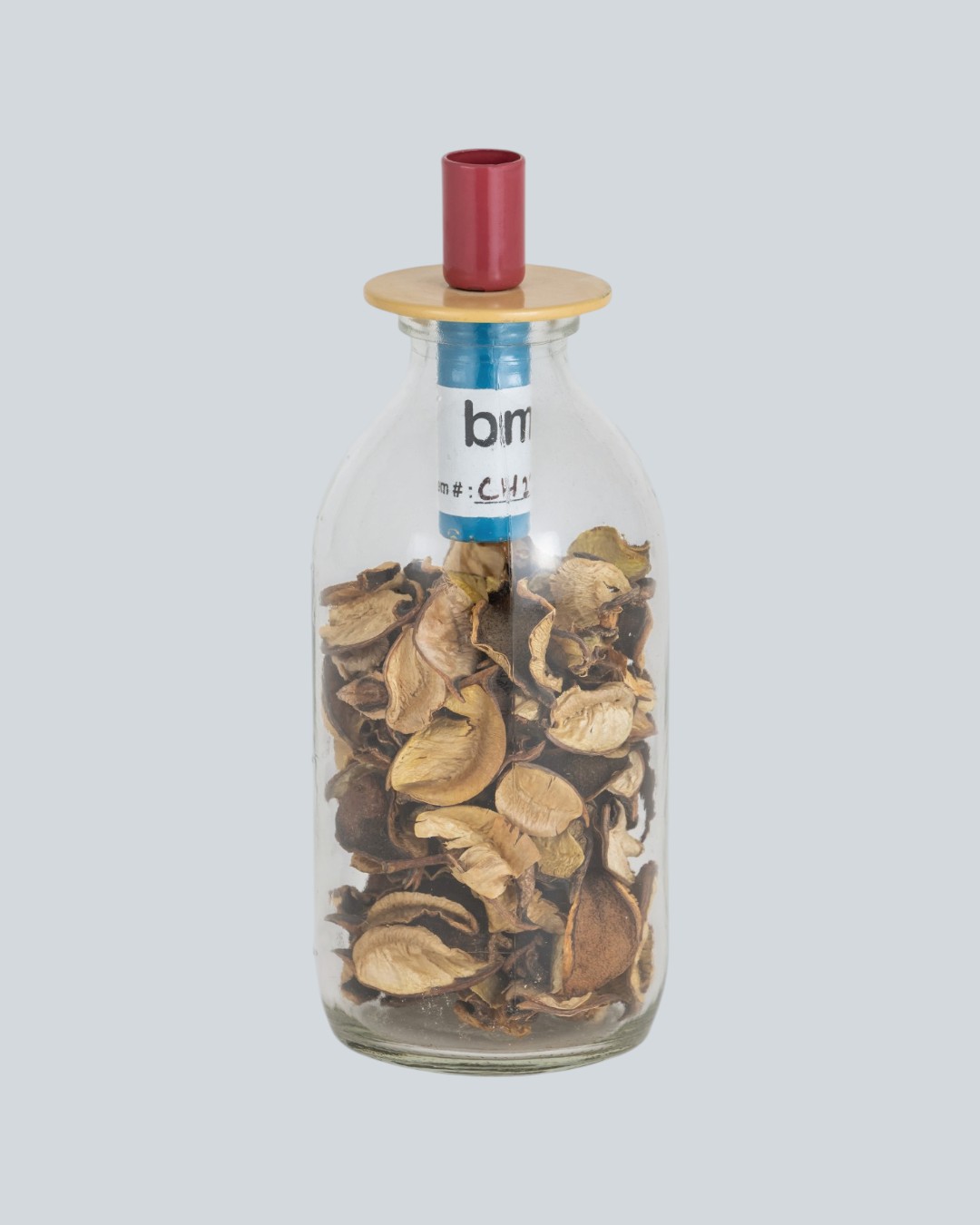 Playful Living Crimson Mustard Candle Holder