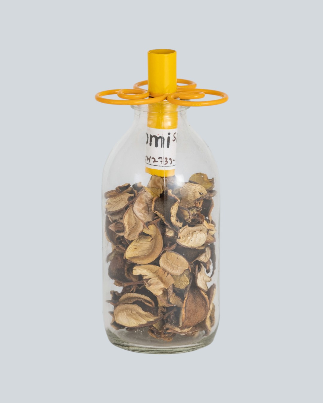 Playful Living Swirl Candle Holders