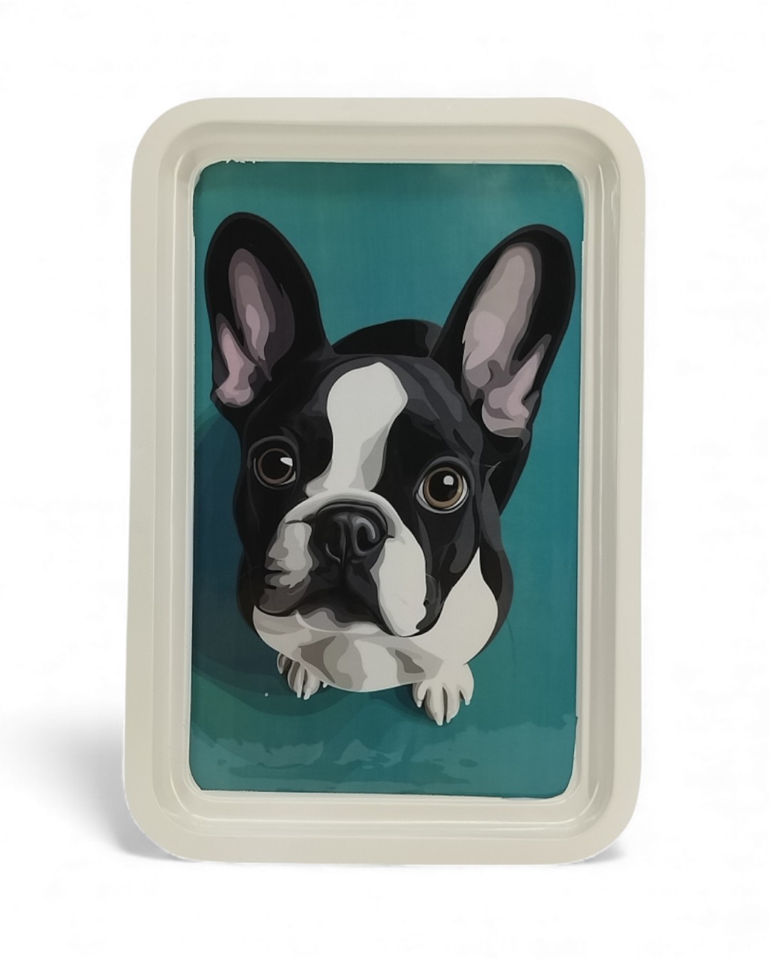 Contemporary Illustrated French Bulldog Wall Tray