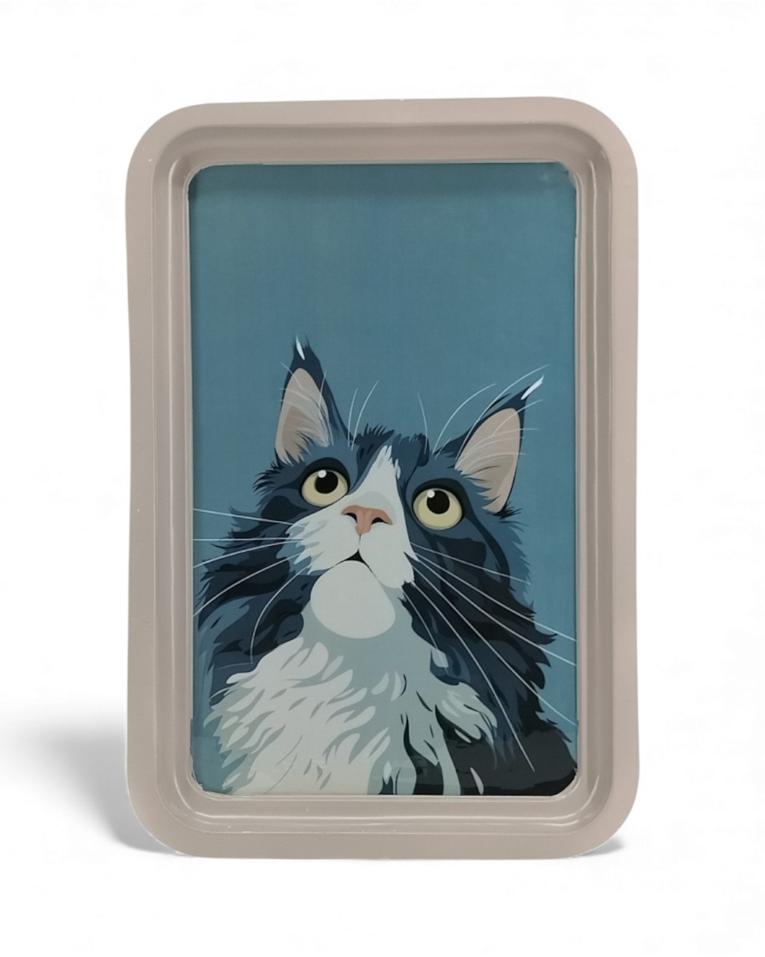 Modern Illustrated Cat Portrait Wall Tray