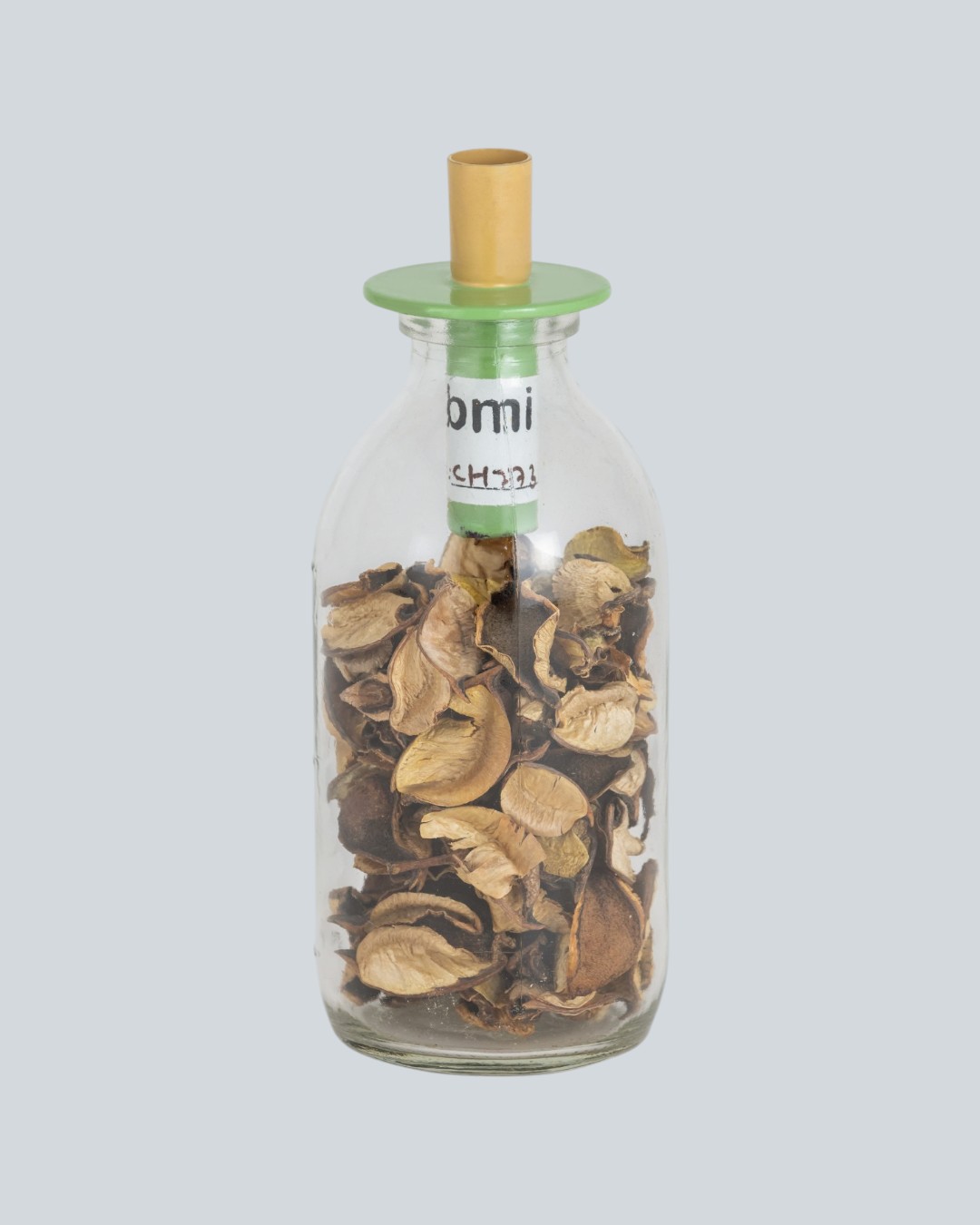 Playful Living Pistachio Gold Candle Holder